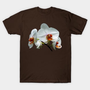 Orchids - White Orchids With Orange Center T-Shirt